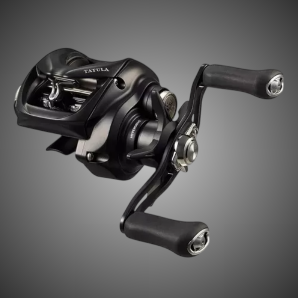 Daiwa Tatula TW 100 XH/XHL