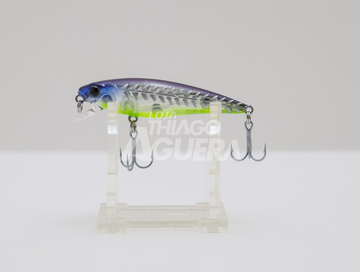 Rex 65SP