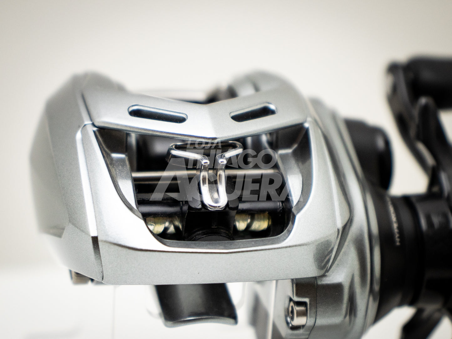 Daiwa Alphas SV TW 800XH/XHL