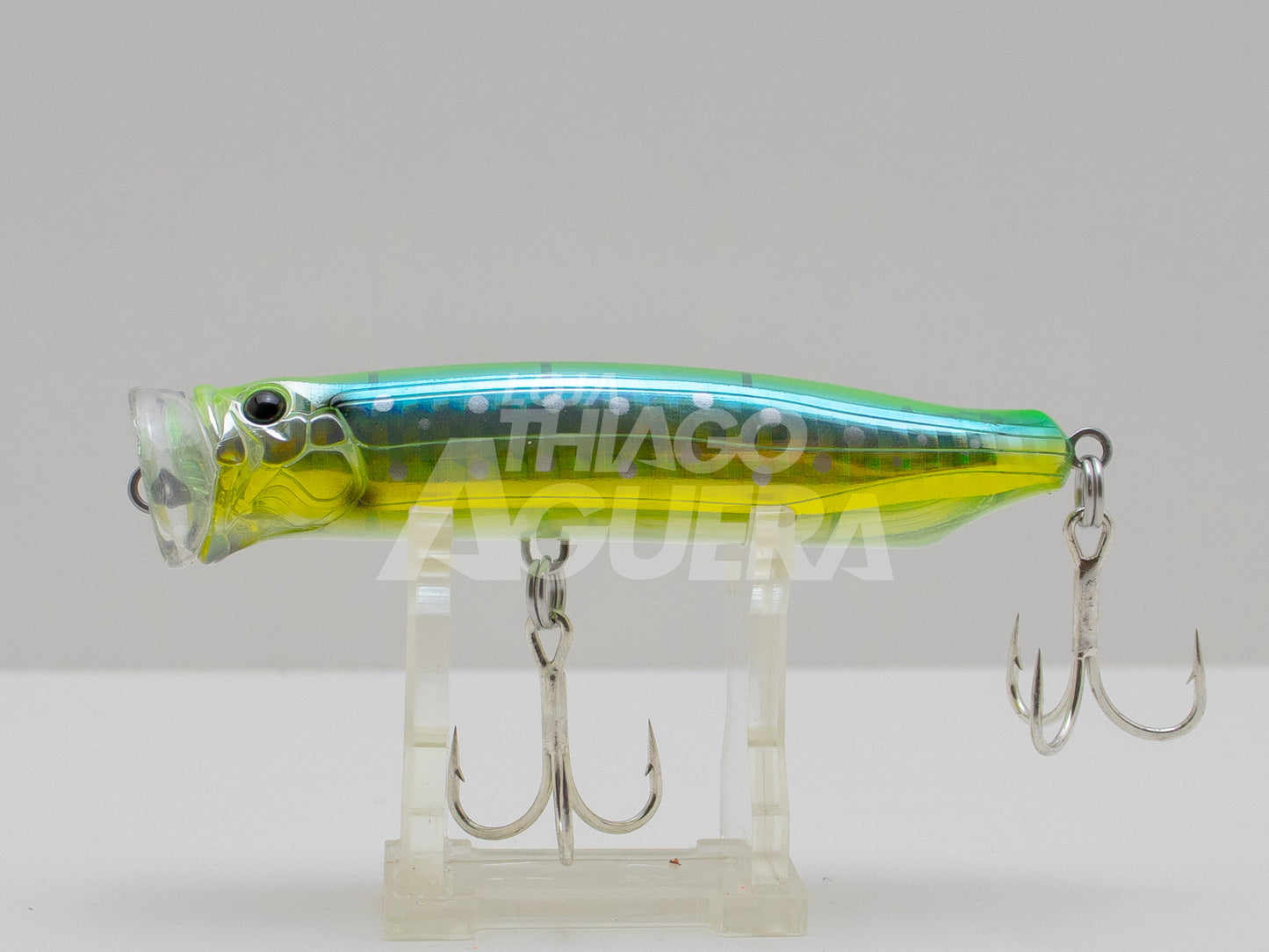 Tackle House Feed Popper 100