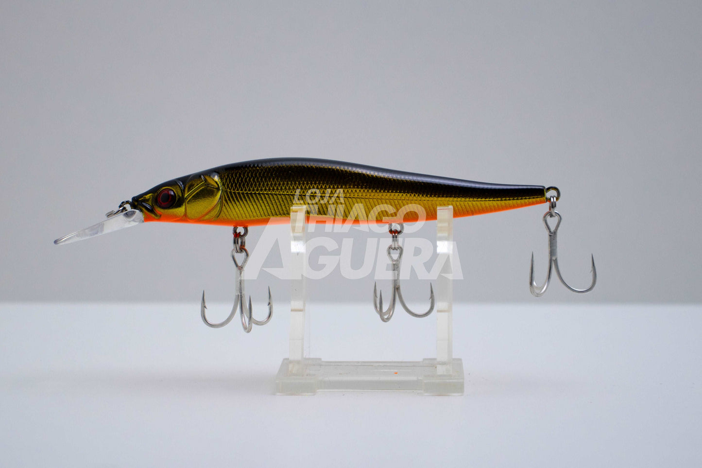 Nitro Fishing Fênix 110SP