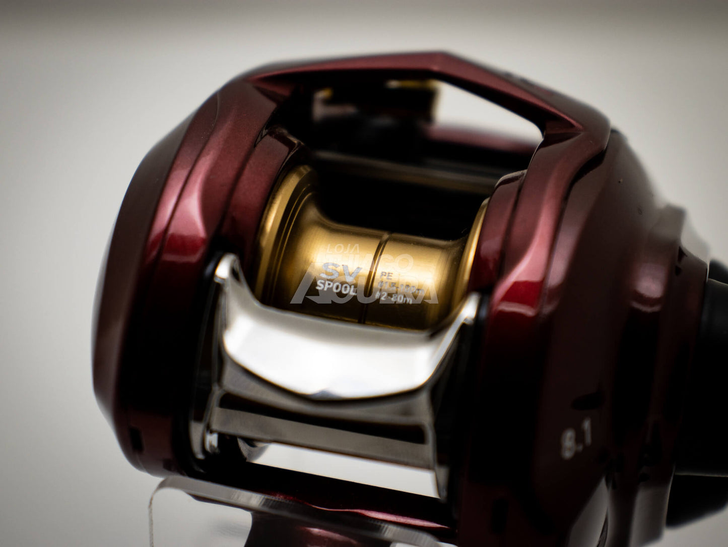 Daiwa Salamandura SV TW 70XH