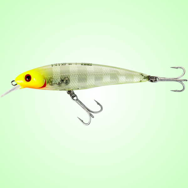Lori Fatal 75