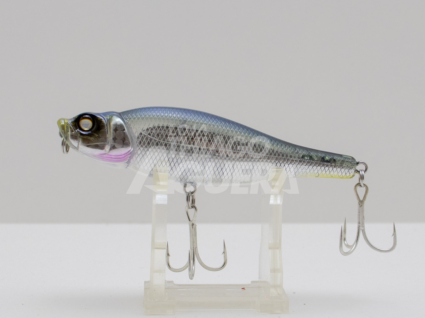 Whiplash Factory Spittin' Wire 95