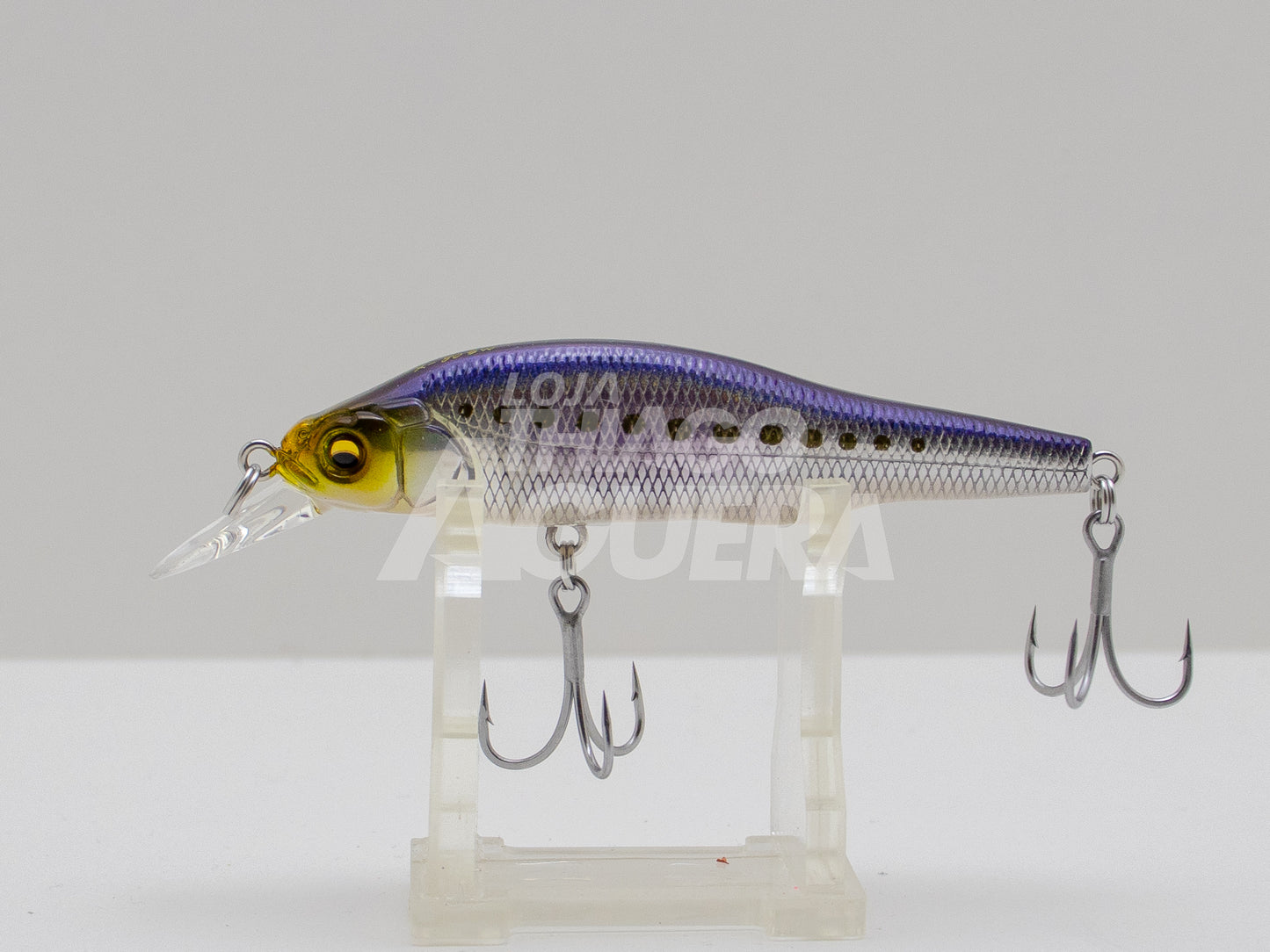 Megabass X-80 SW