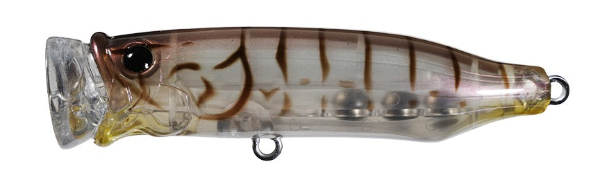 Tackle House Feed Popper 70