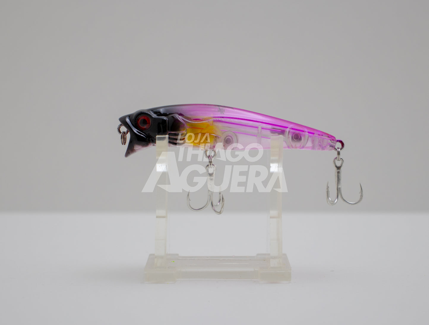 Lizard Pointer Lure