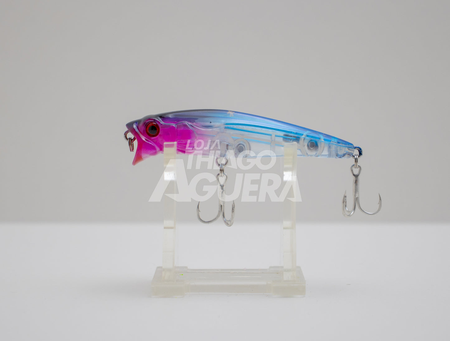 Lizard Pointer Lure