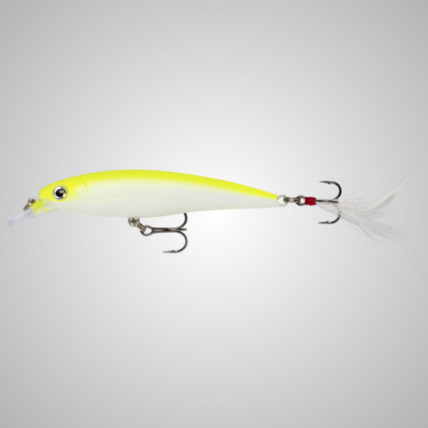 Rapala Xtreme Action Slashbait X-Rap XR-100