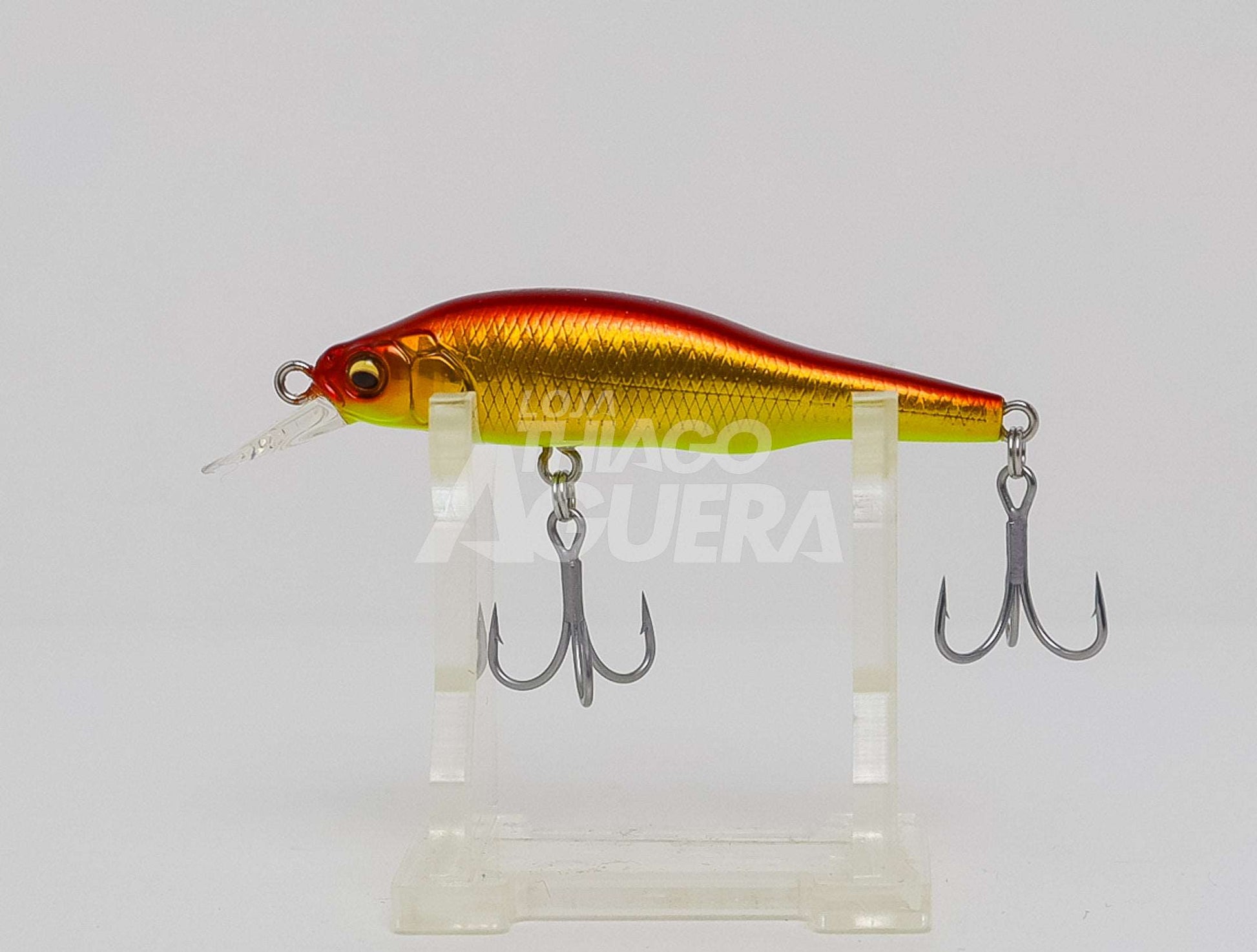 Megabass X-80 Jr. SW