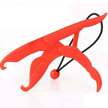 Pega Peixe Flutuante - Lizard